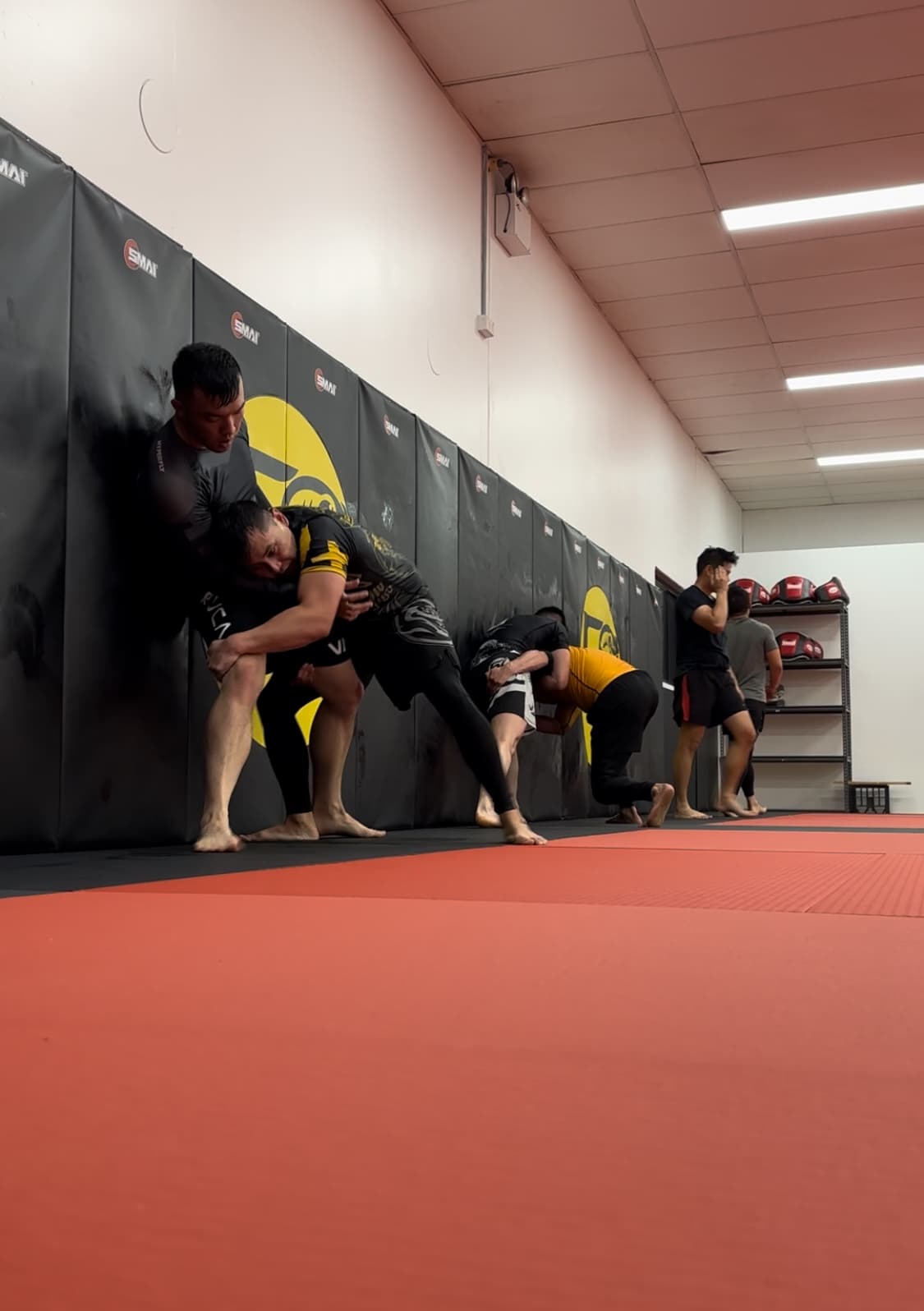 MMA clinch and wall work against the Cabra Kai pads